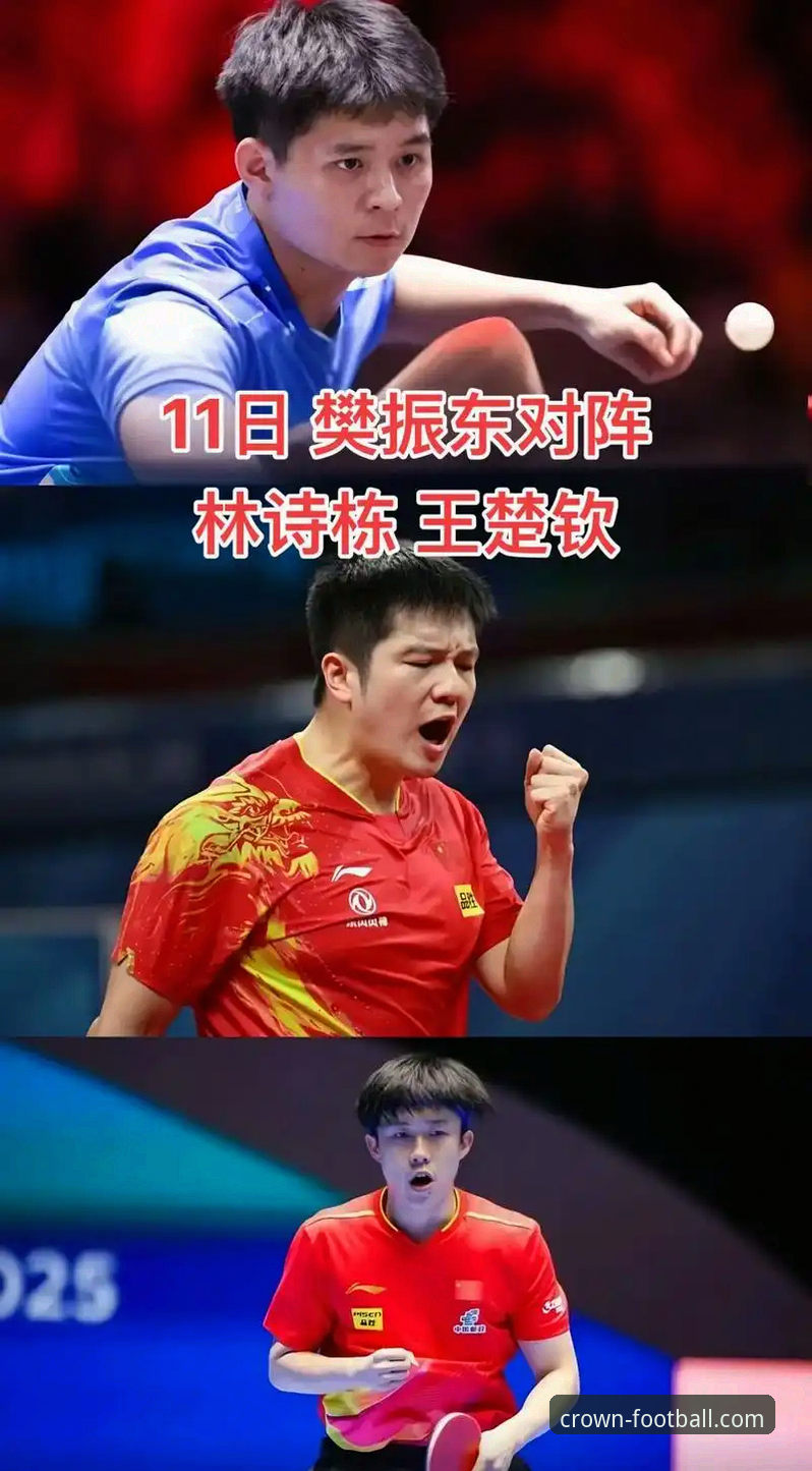 冠体育直播 资深球迷分享:在冠体育直播平台观战世乒赛,中国男乒三将的实战心得