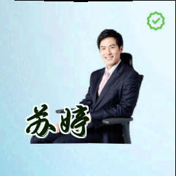苏婷
